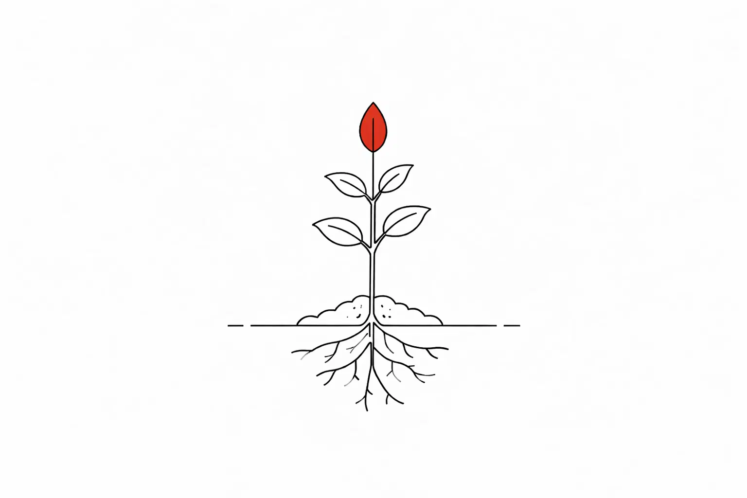 Organic Growth (SEO)